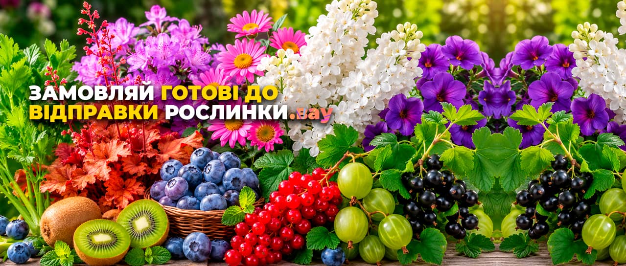 Рослини, готові до відправки