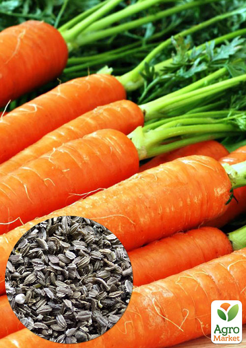 

На развес Морковь Чудо рынка ТМ Весна цена за 10г