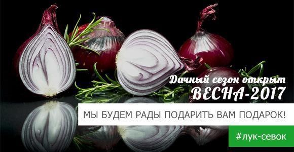 Получайте 1 кг лука БЕСПЛАТНО Получайте 1 кг лука БЕСПЛАТНО