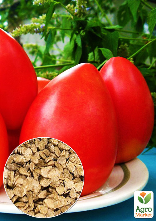 

На вагу Томат Альпініст ТМ Весна ціна за 1г