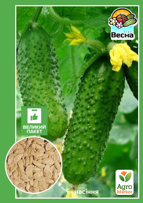 

Огірок Аладін F1 (Великий пакет) ТМ Весна 1.5г