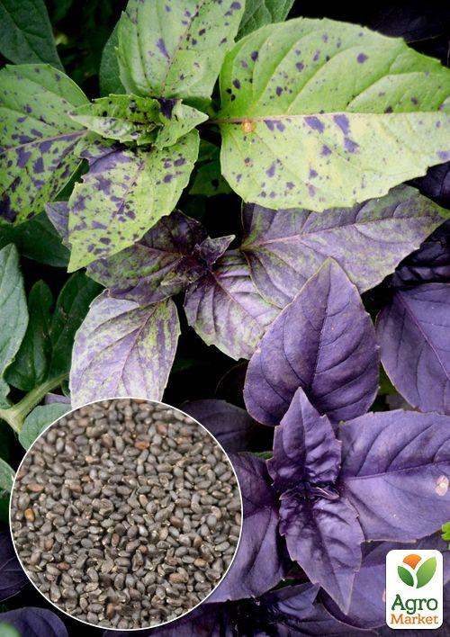 

На вагу Базилік Суміш кращих популярних сортів ТМ Весна ціна за 3г