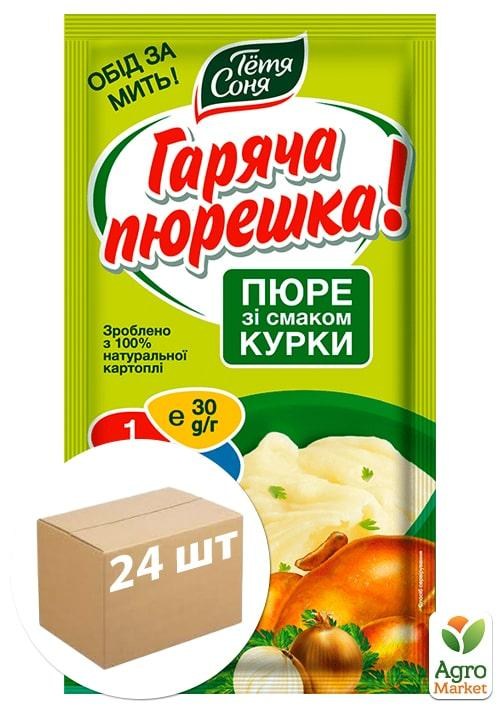 Пюре картопляне зі смаком курки та смаженої цибулі ТМ "Тітка Соня" пакет 30г упаковка 24шт