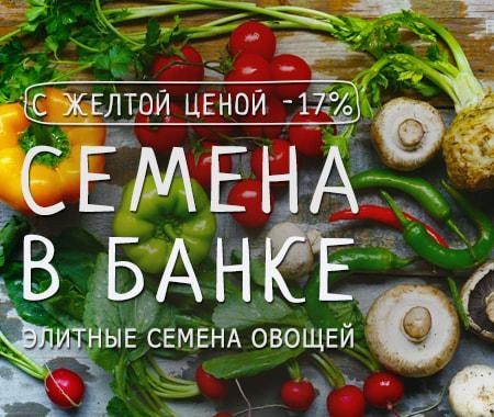 Акция! Эксклюзивно в Agro-Market.ua семена в банке с желтой ценой -17% Акция! Эксклюзивно в Agro-Market.ua семена в банке с желтой ценой -17%