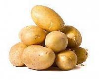 Посадкова картопля