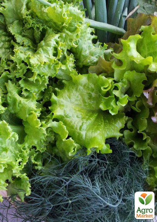 

Комплект семян зелень Днем и ночью 5уп