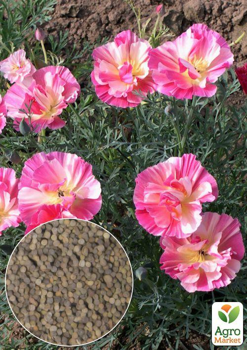 

На вагу Ешшольція Рожева ТМ Весна ціна за 2г