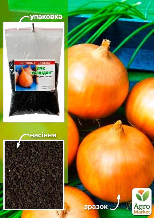 Цибуля "Халцедон" ТМ "Весна" 100г