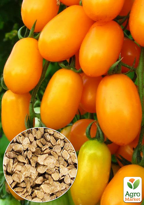 

На вагу Томат Лучики ТМ Весна ціна за 1г