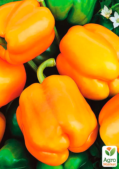 Перець "Помаранчевий мармелад" ТМ "Vesna Exclusive"10шт