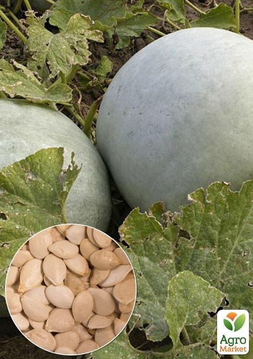 

На вагу Гарбуз Волзький сірий ТМ Весна ціна за 10г