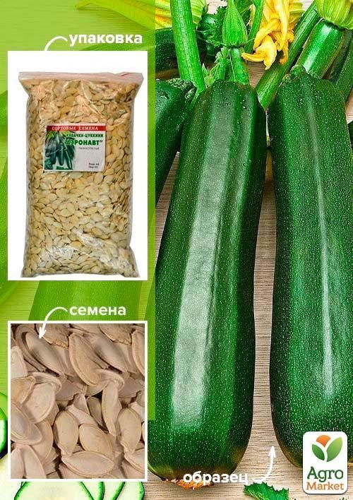 

Кабачки Аэронавт ТМ Весна 500г