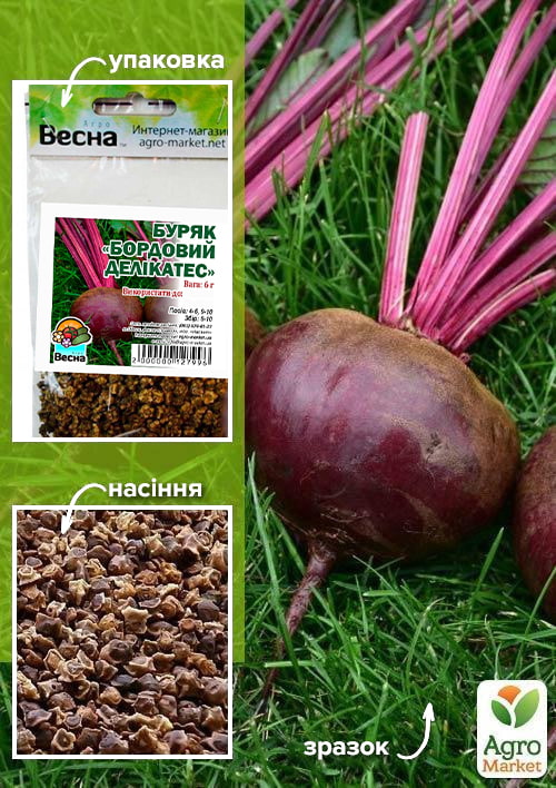 

Буряк Бордовий делікатес (Зипер) ТМ Весна 6г