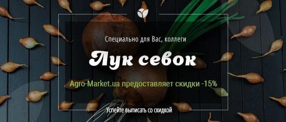 Agro-Market.ua объявляет скидки -15% на лук севок Agro-Market.ua объявляет скидки -15% на лук севок