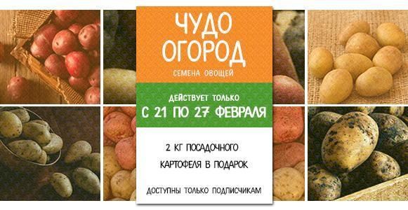 Чудо огород: покупайте 10 кг и получайте 12 кг Чудо огород: покупайте 10 кг и получайте 12 кг