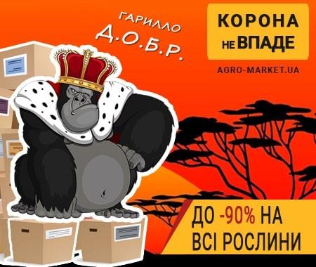 Гарилло Д.О.Б.Р до -90% Гарилло Д.О.Б.Р до -90%