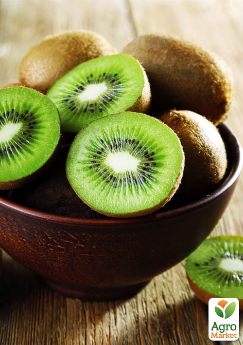 

Киви Аббот (высокоурожайный сорт)