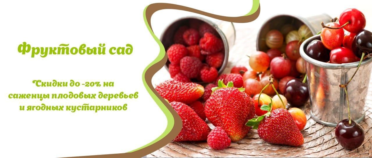 Акция! Фруктовый сад со скидками до -20% Акция! Фруктовый сад со скидками до -20%