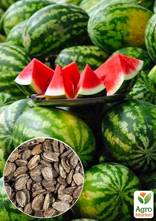 

На развес Арбуз Арриба ТМ Весна цена за 6г