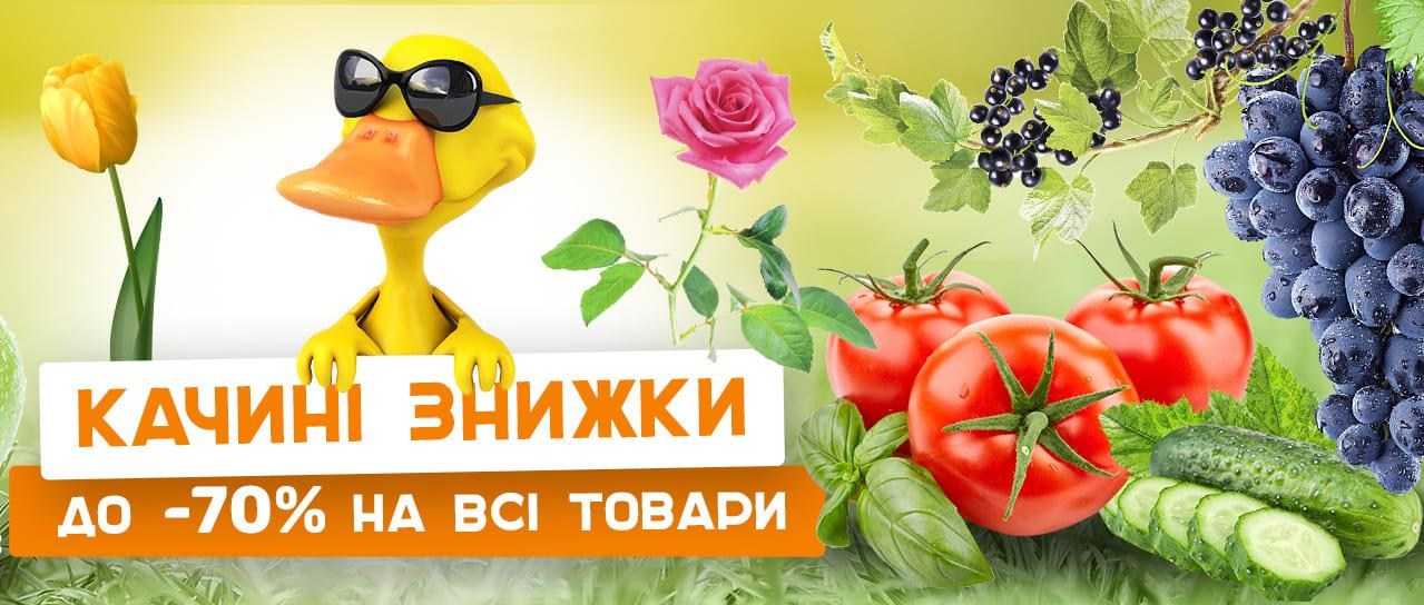 Качині Знижки Качині Знижки