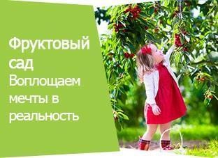 Акция! Фруктовый сад Акция! Фруктовый сад