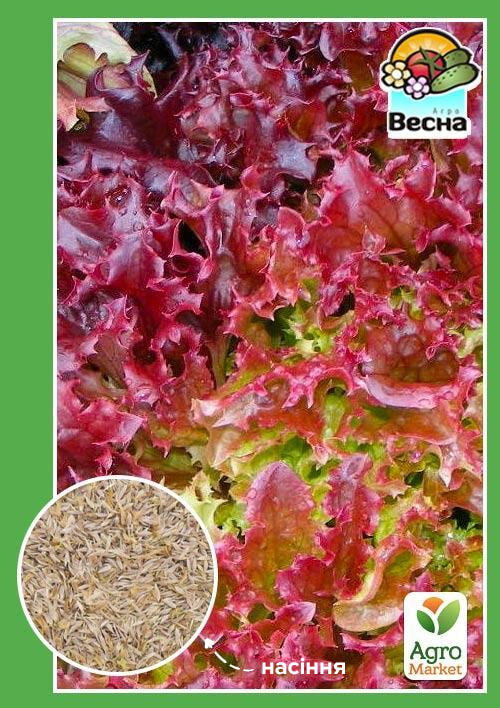 

Салат Ред корал ТМ Весна 0.5г