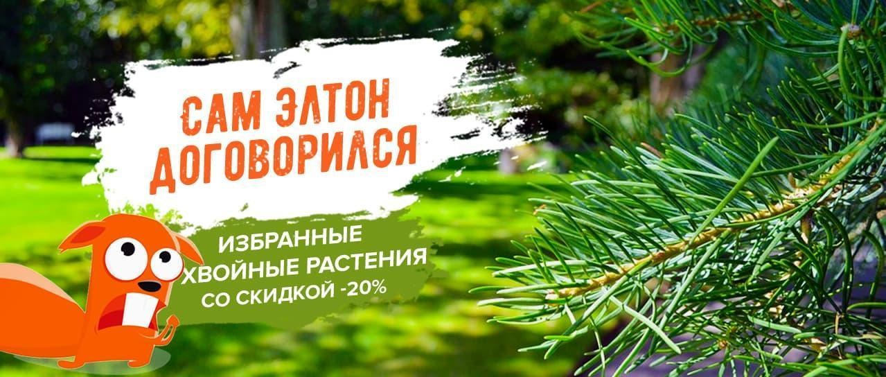 Акция! Сам Элтон договорился Акция! Сам Элтон договорился