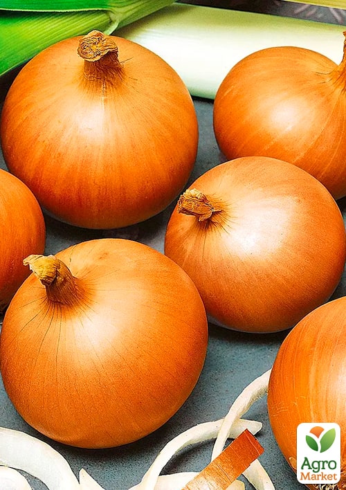 

Цибуля-сіянка 1кг (арбажейка) Стригунівський (Україна)