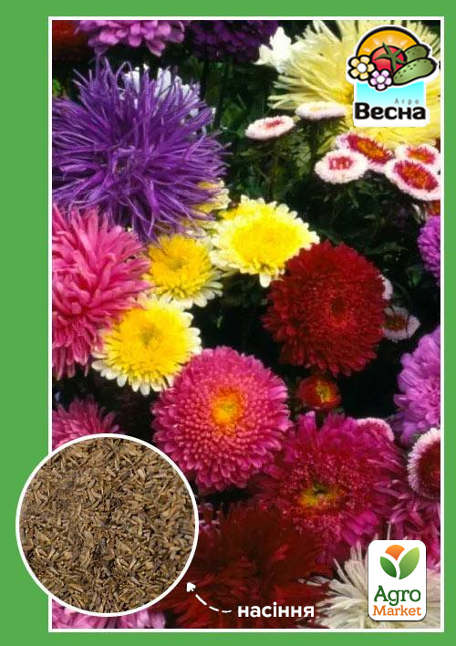 

Айстра Художня суміш (Великий пакет) ТМ Весна 0,5г