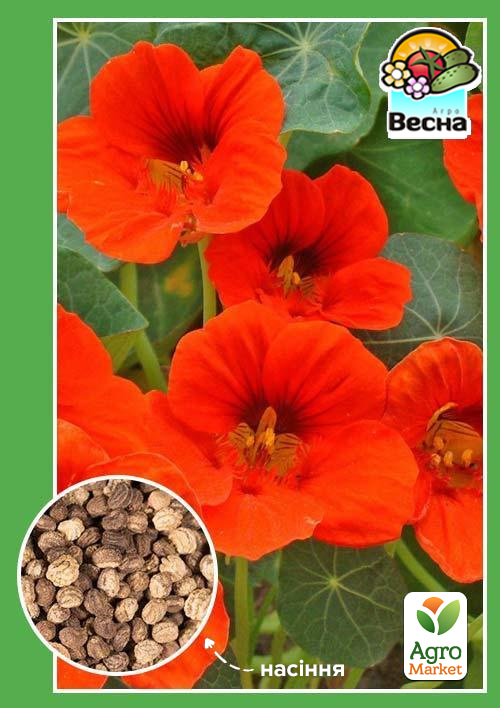 

Настурція низькоросла Червона ТМ Весна 0.5г