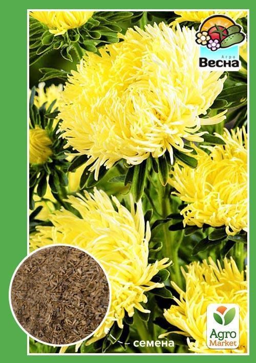 

Астра Игольчатая желтая ТМ Весна 0,2г