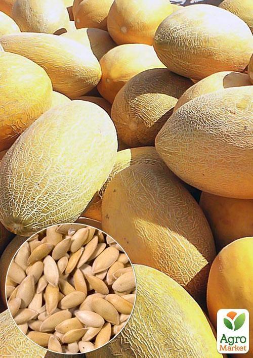 

На развес Дыня Ольвия ТМ Весна цена за 6г