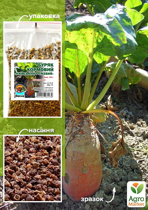 

Буряк кормовий Київський Рожевий ТМ Весна 100г