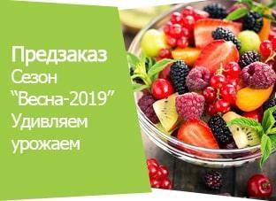 Предзаказ Сезон "Весна-2019. Удивляем урожаем" Предзаказ Сезон "Весна-2019. Удивляем урожаем"