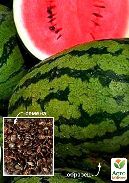 

Арбуз "Альянс" ТМ "Весна" 100г