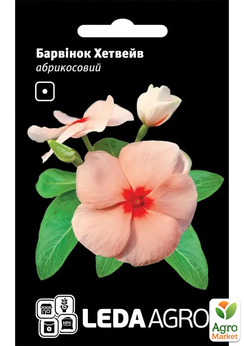 

Барвинок Хетвейв абрикосовый ТМ Leda Agro 10шт