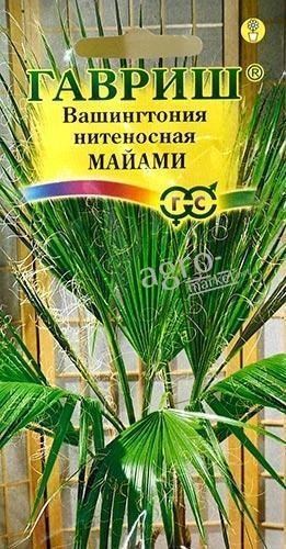 

Вашингтония нитеносная "Майами" ТМ "Гавриш" 3шт