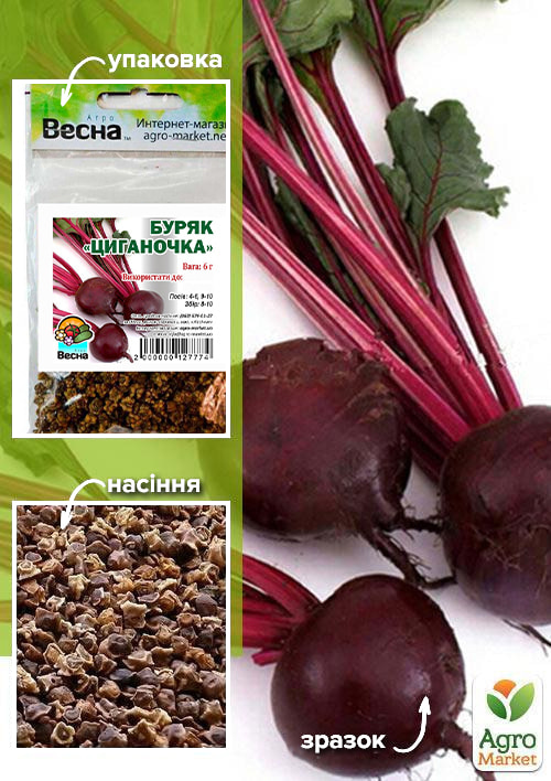 

Буряк Циганочка (Зипер) ТМ Весна 6г