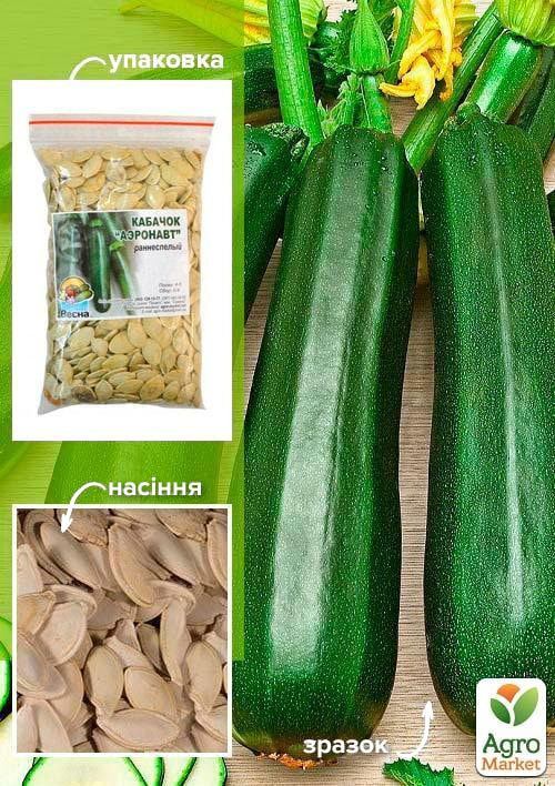 

Кабачок Аеронавт ТМ Весна 100г