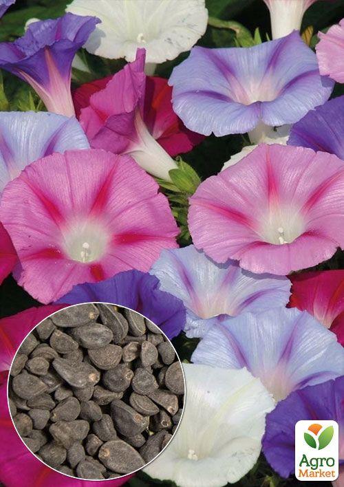 

На развес Ипомея смесь ТМ Весна цена за 2г