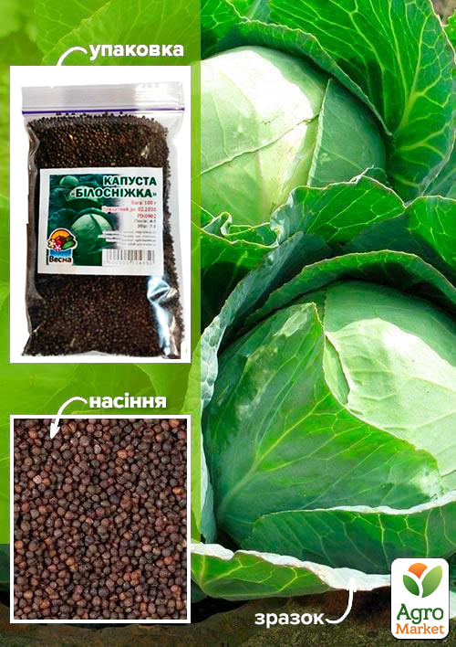 

Капуста Білосніжка ТМ Весна 100г