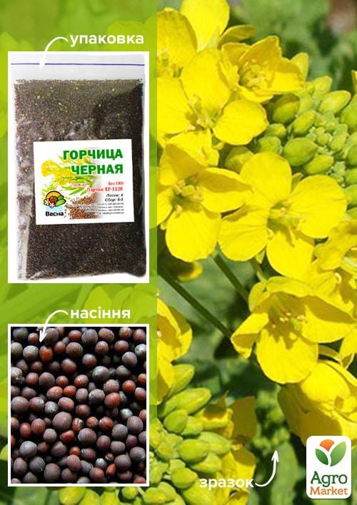 

Горчица чёрная ТМ "Весна" 100гр