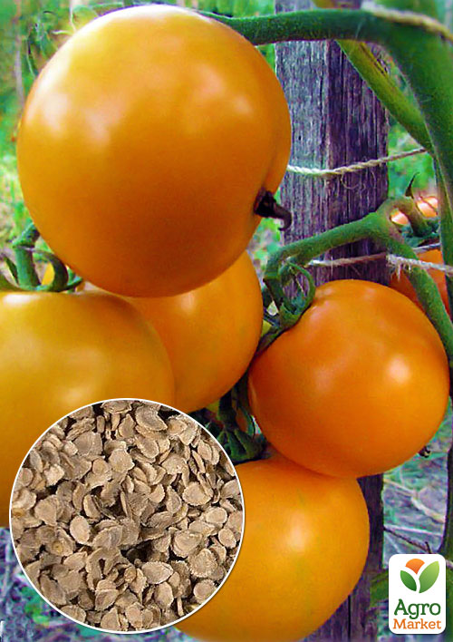 

На развес Томат Диетический здоровяк ТМ Весна цена за 2г