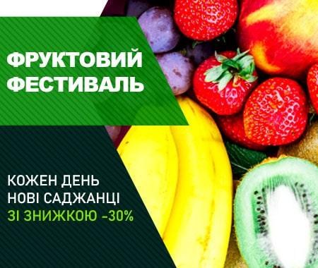 Фруктовий фестиваль Фруктовий фестиваль