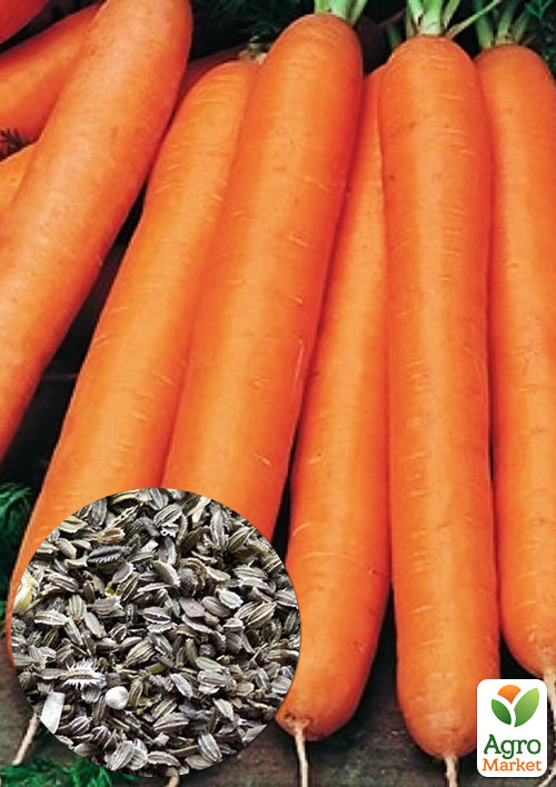 

На развес Морковь Сластена ТМ Весна цена за 10г