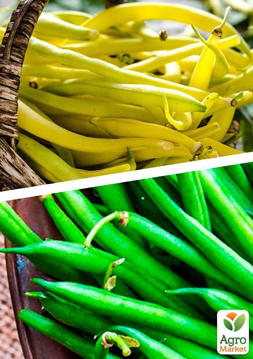 

На развес Фасоль спаржевая Смесь лучших популярных сортов ТМ Весна цена за 15г