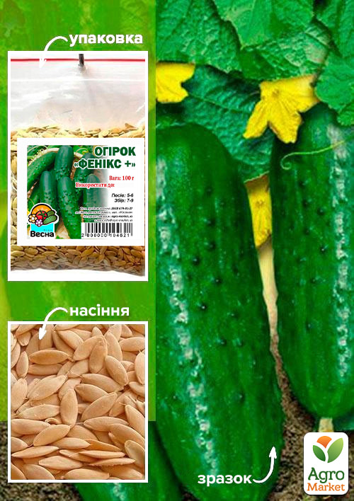 

Огірок Фенікс + ТМ Весна 100г