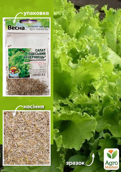 

Салат Одеський кучерявець (Зипер) ТМ Весна 3г