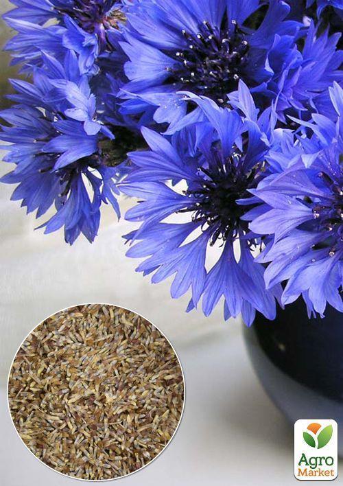 

На вагу Волошка махрова суміш ТМ Весна ціна за 2г