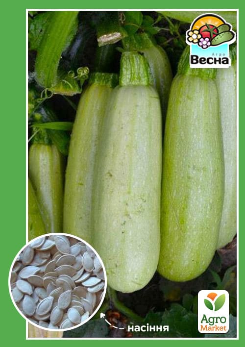 

Кабачок Кустовой ранний (Новый пакет) ТМ Весна 2г